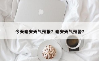 今天秦安天气预报？秦安天气预警？