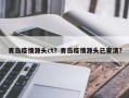 青岛疫情源头ct？青岛疫情源头已查清？