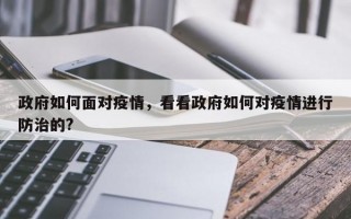 政府如何面对疫情，看看政府如何对疫情进行防治的?