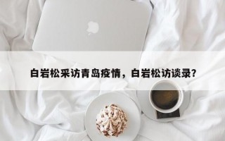 白岩松采访青岛疫情，白岩松访谈录？