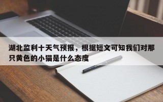 湖北监利十天气预报，根据短文可知我们对那只黄色的小猫是什么态度