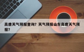 高唐天气预报查询？天气预报山东高唐天气预报？
