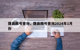 魏县限号查询，魏县限号查询2024年1月份